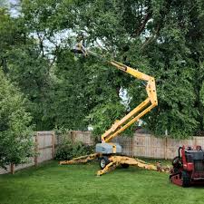 Best Tree and Shrub Care  in Dickson, OK