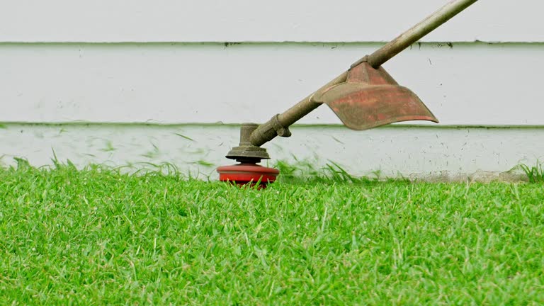 Best Seasonal Cleanup (Spring/Fall)  in Dickson, OK