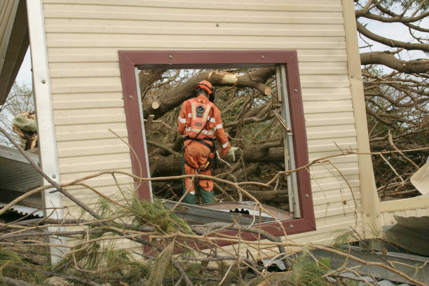 Best Stump Grinding and Removal  in Dickson, OK